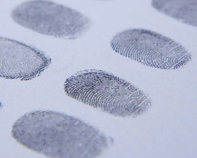 A close up of fingerprints on paper